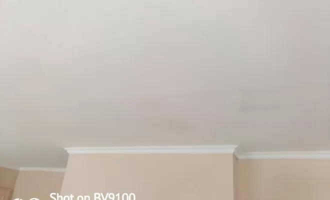 Peinture plafond, Bagnols-sur-Cèze, AMS Services Agencement